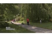 PARK TRENCIANSKE TEPLICE (13)