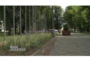 PARK TRENCIANSKE TEPLICE (3)